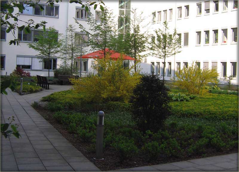 mitte
